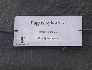 OB14 Bomen